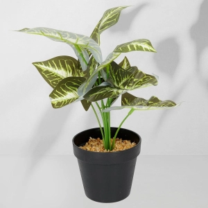 Roślina doniczkowa Maranta 6402 35 cm EKKW2716 Eko-Light
