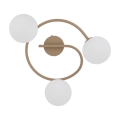 3b18b93726129766648f73437e5825ee